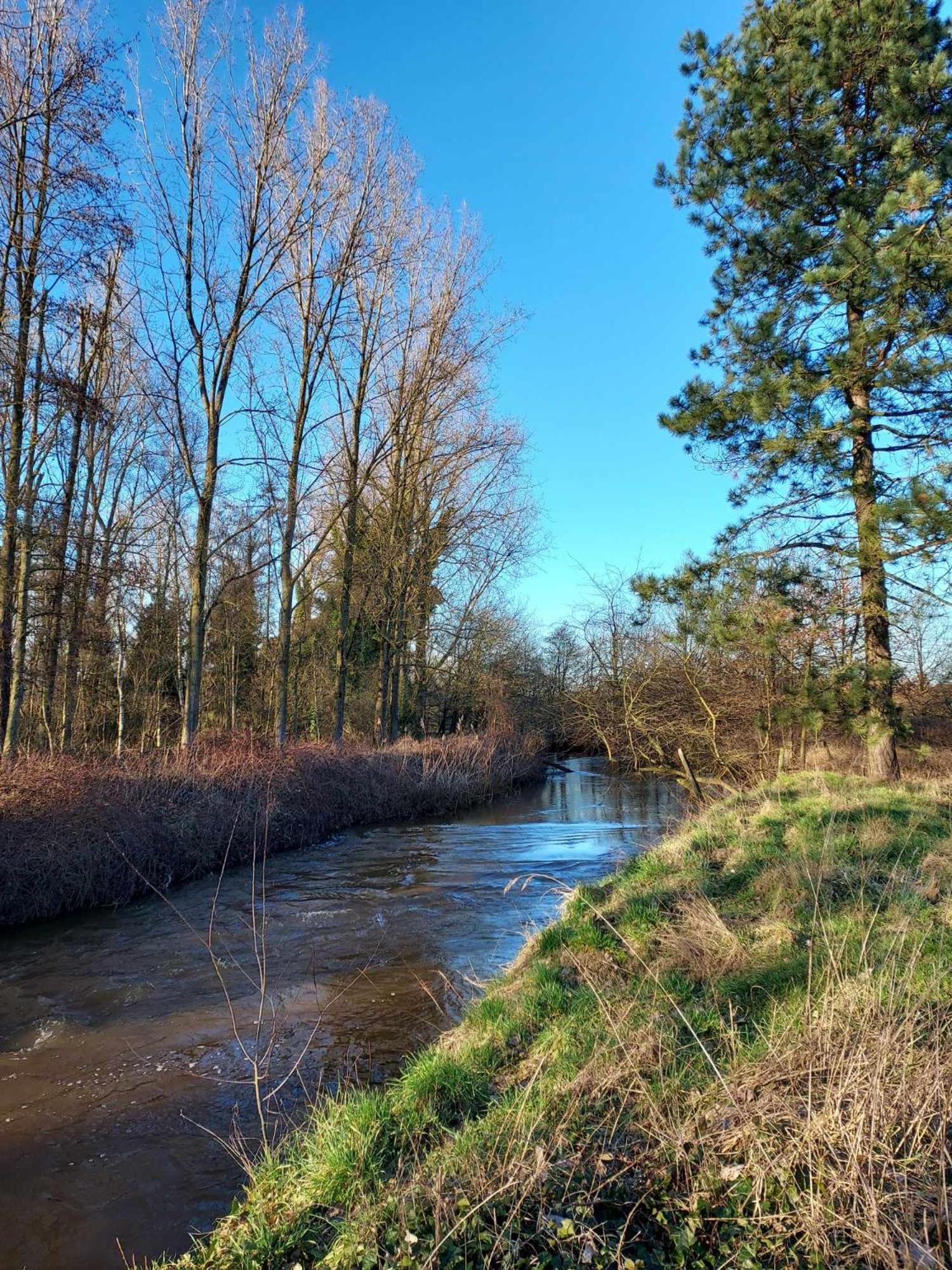Rustig Gelegen Chalet Kapeki Met Tuin Aan Het Water Гел Екстериор снимка